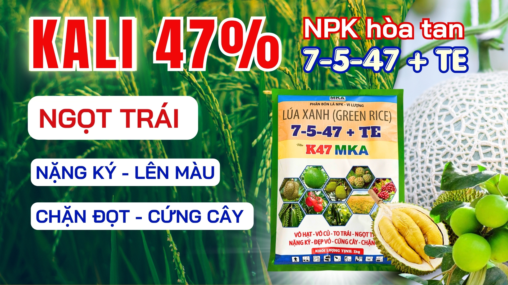 Phân bón Kali cao chặn đọt K47 MKA